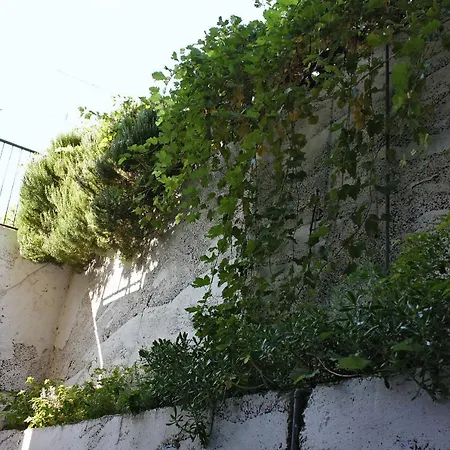 With Parking Space Pisak, Omis - 5154 * Mimice