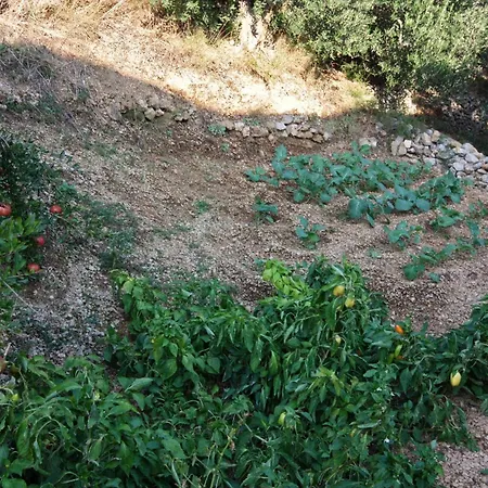 Appartamento With Parking Space Pisak, Omis - 5154 *